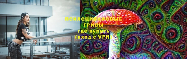 Альфа ПВП Алексеевка