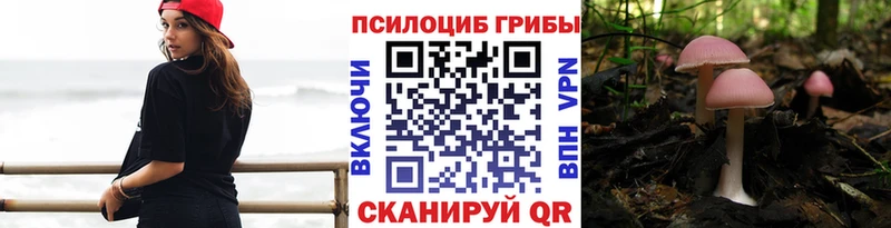 наркота Минусинск Галлюциногенные грибы прущие грибы